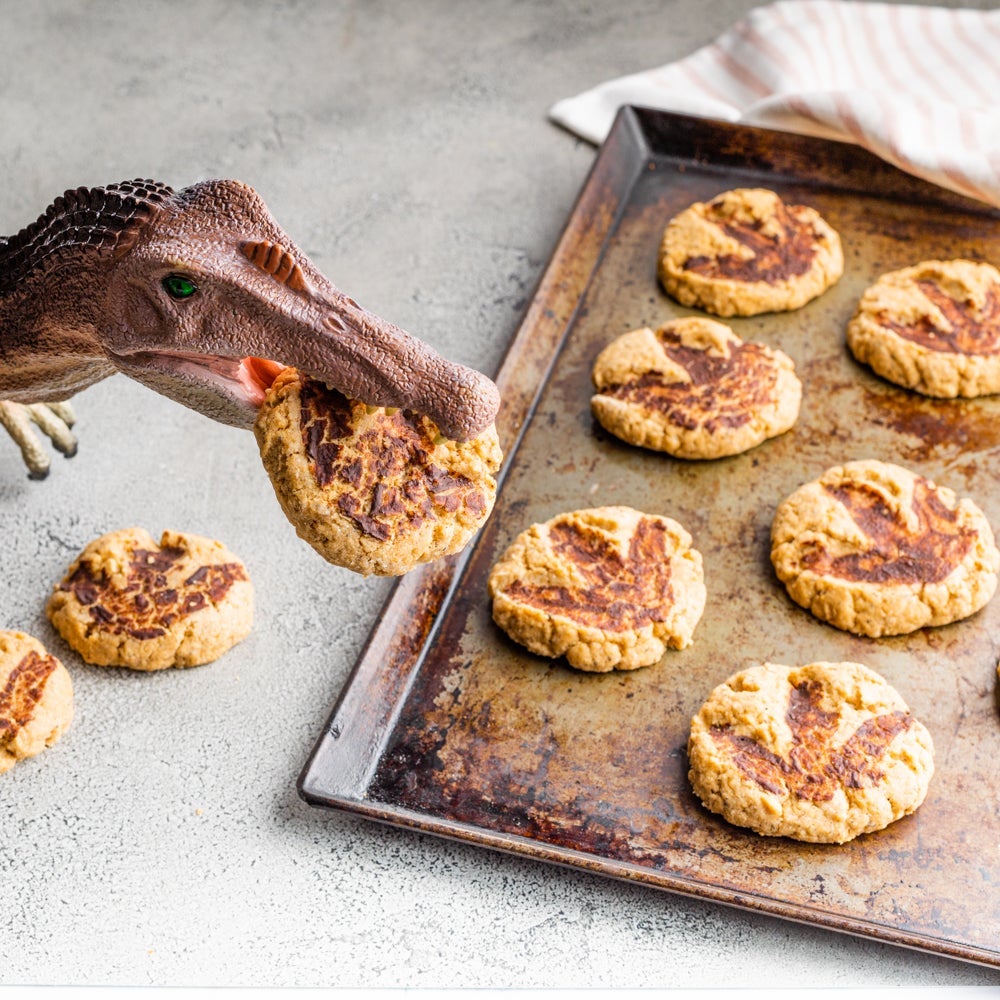 Dino Fossil Cookies | Low Sugar Recipe